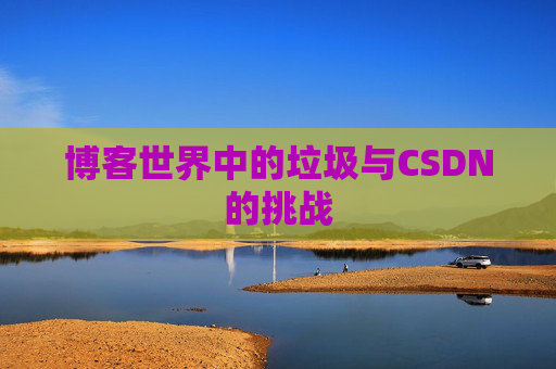 博客世界中的垃圾与CSDN的挑战